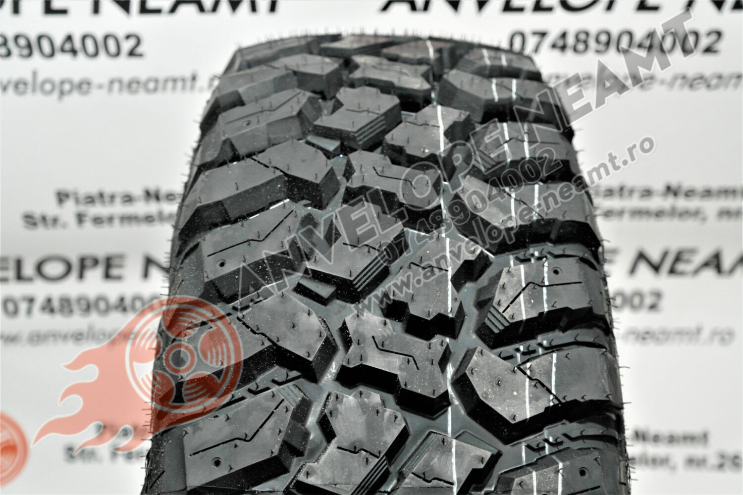 01182078-scaled-1.jpg