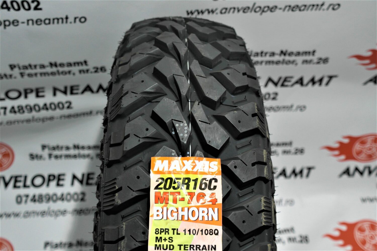 11241824-scaled-1.jpg