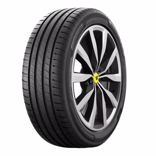 kormoran_summer-3-suv